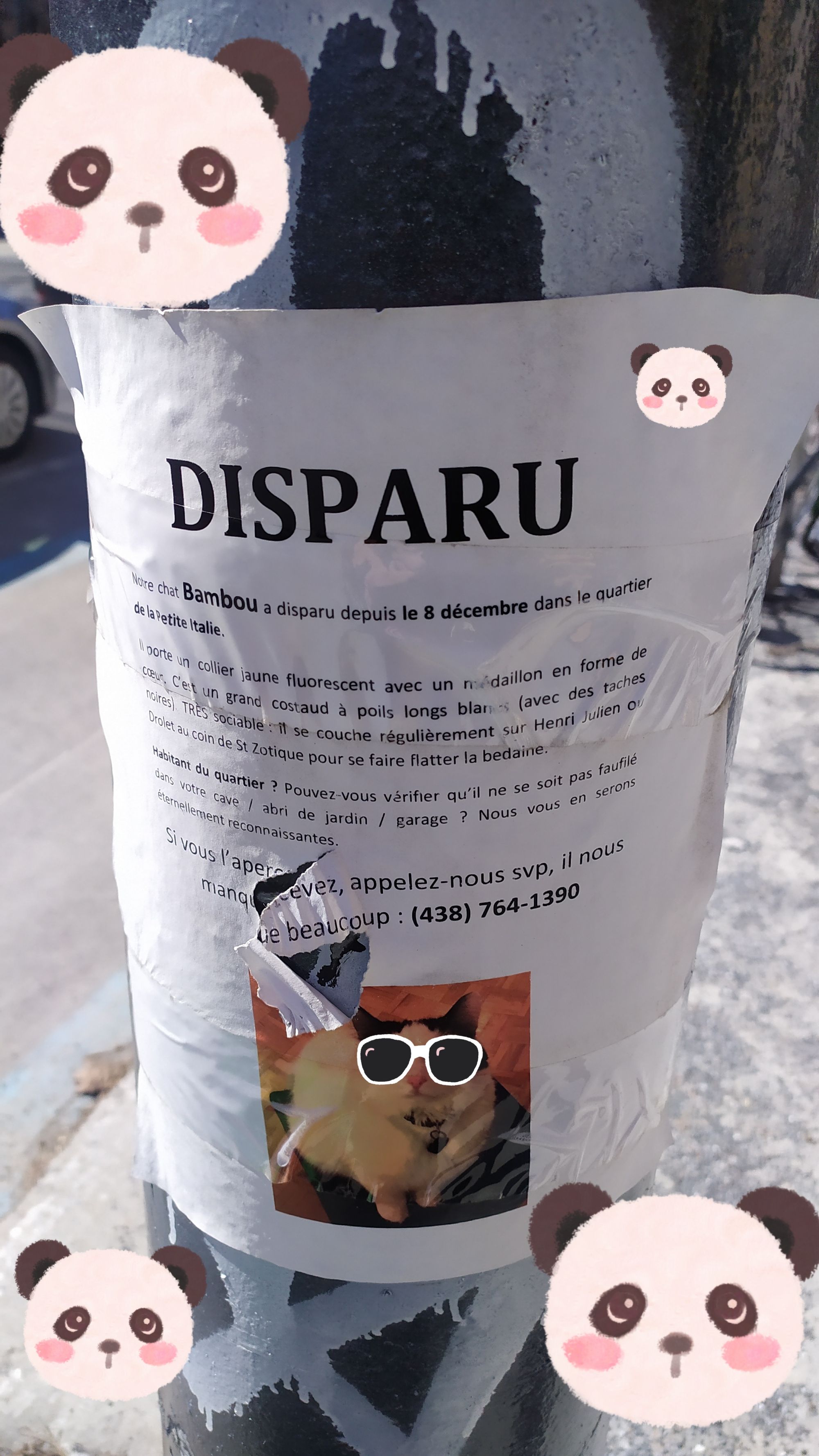 La semaine de la recherche