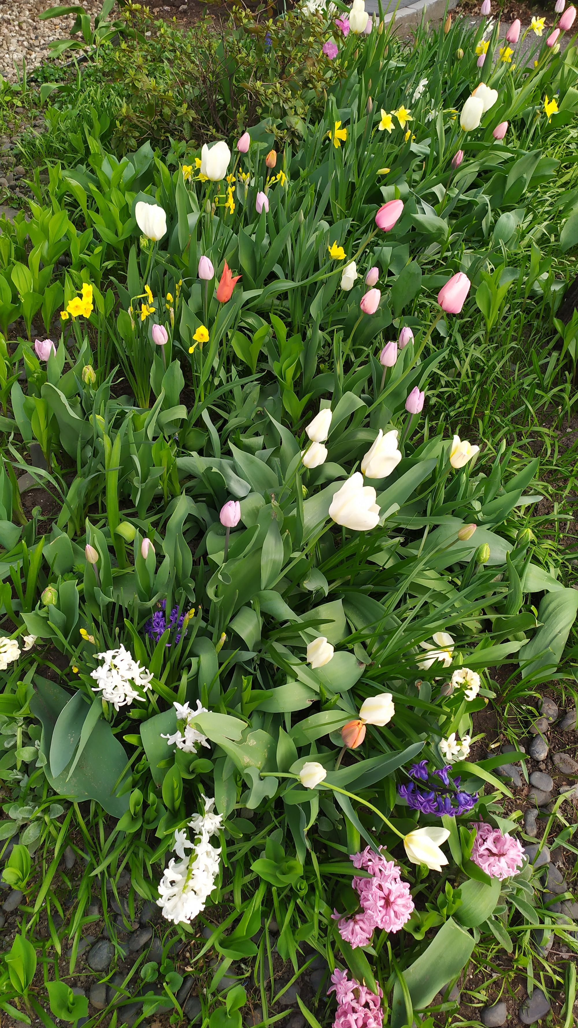 Nouvelle coloc : le printemps est enfin là !