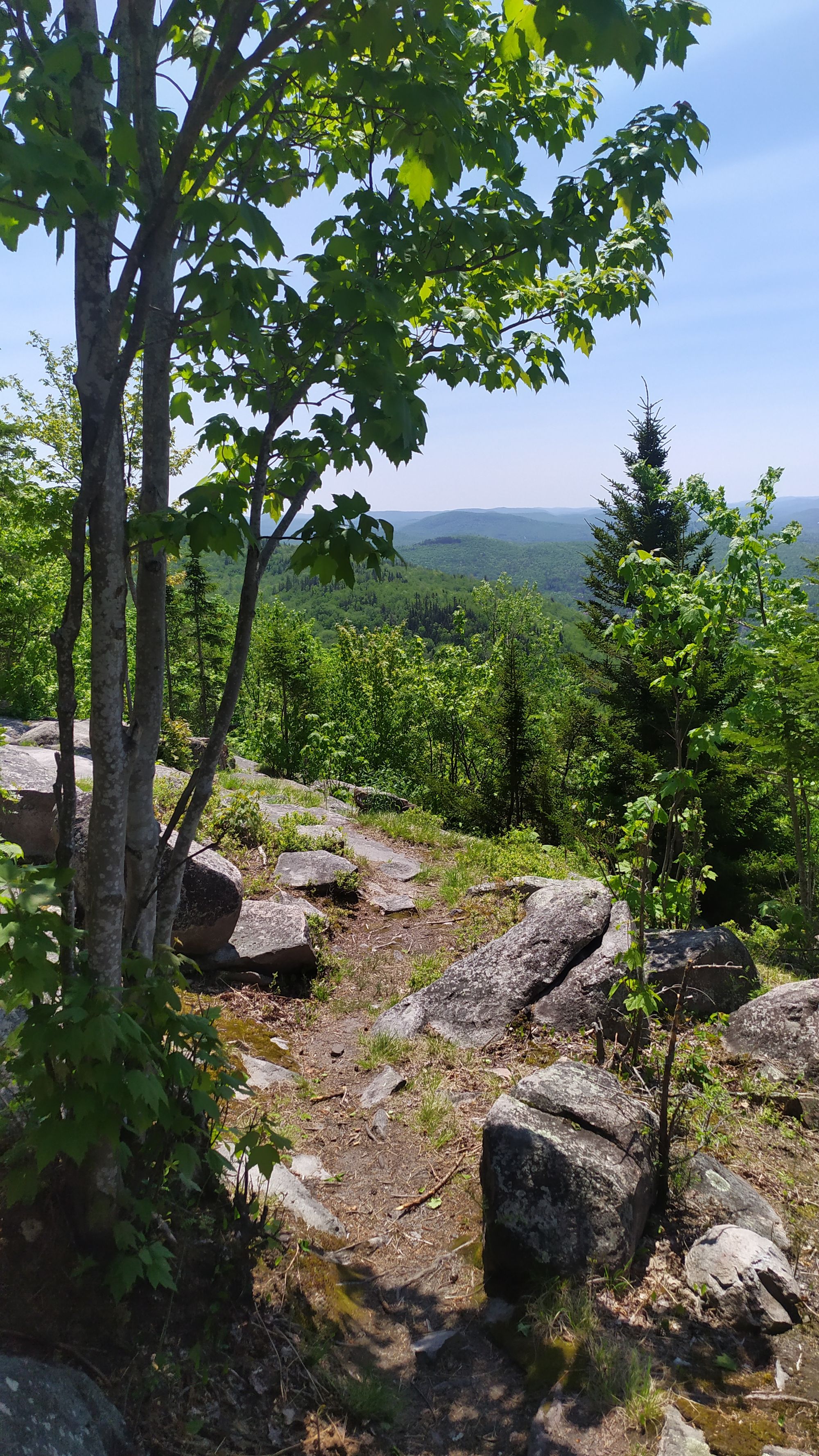 Le Mont Tremblant